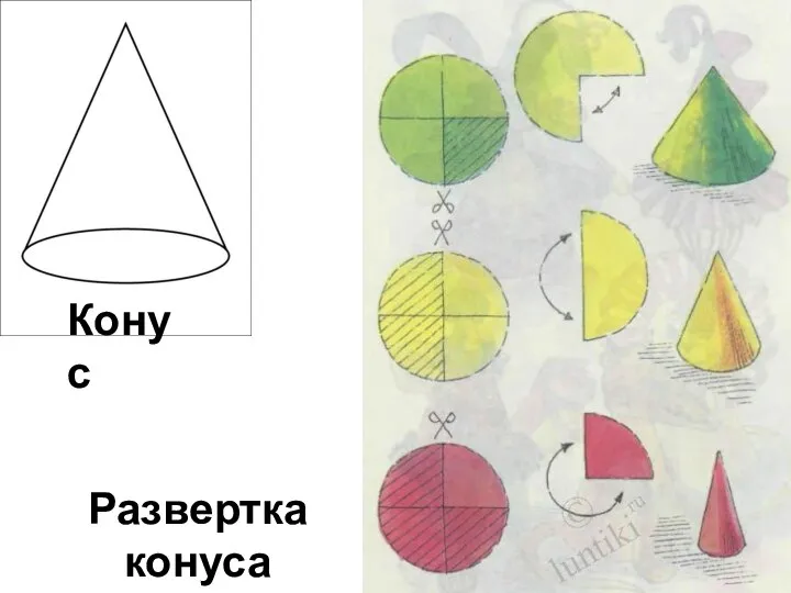 Конус Развертка конуса