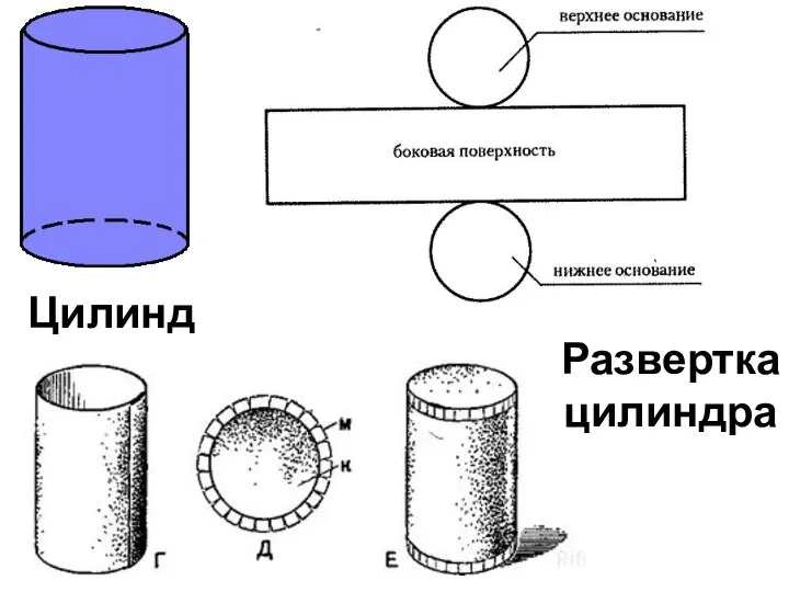 Цилиндр Развертка цилиндра