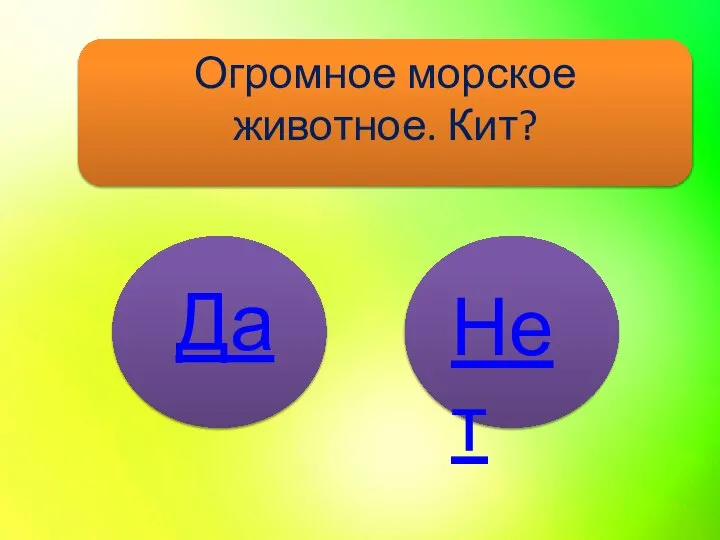 Огромное морское животное. Кит? Нет Да