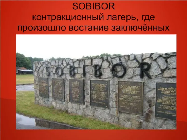 SOBIBOR контракционный лагерь, где произошло востание заключённых