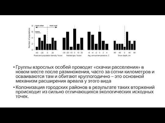 Группы взрослых особей проводят «скачки расселения» в новом месте после размножения,