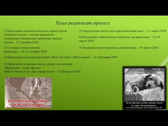 1) Проведение социологического опроса среди учащихся школы с целью выявления отношения