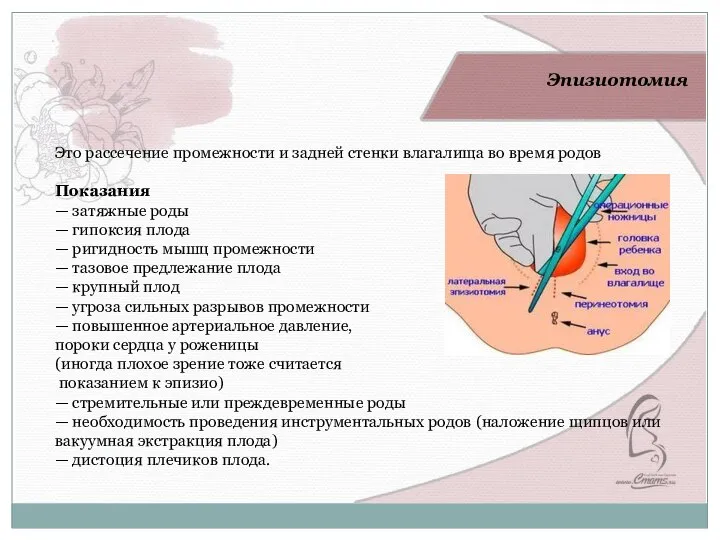 Выполняйте упражнения по 1 минуте ежедневно. В первую неделю тренировок один