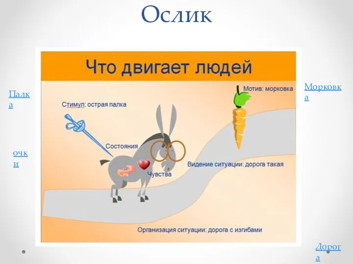 Ослик Морковка Палка Дорога очки