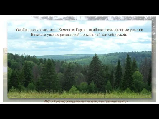 Особенность заказника «Каменная Гора» - наиболее возвышенные участки Вятского увала с