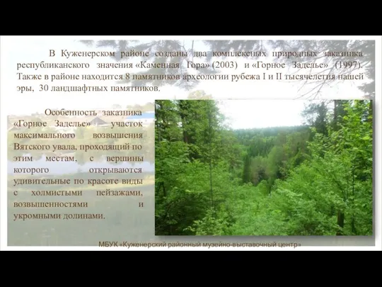 Особенность заказника «Горное Заделье» – участок максимального возвышения Вятского увала, проходящий