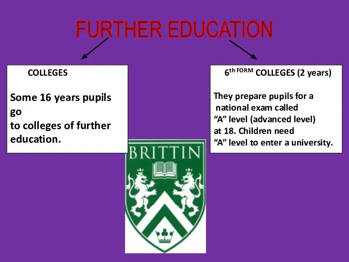 FURTHER EDUCATION COLLEGES Some 16 years pupils go to colleges of