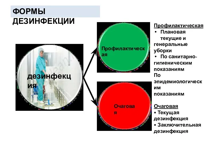 Профилактическая Очаговая Профилактическая Плановая текущие и генеральные уборки По санитарно- гигиеническим