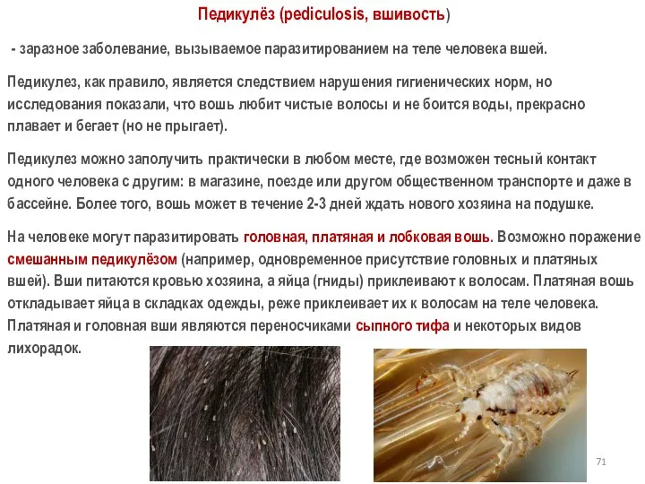 Педикулёз (pediculosis, вшивость) - заразное заболевание, вызываемое паразитированием на теле человека