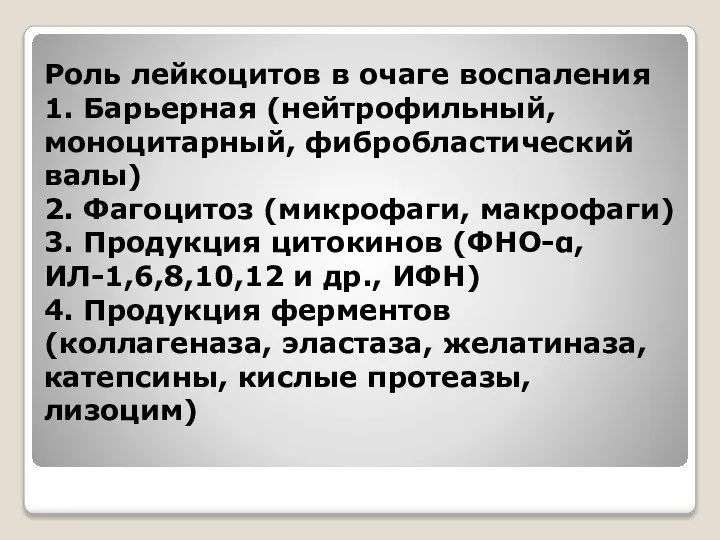 Роль лейкоцитов в очаге воспаления 1. Барьерная (нейтрофильный, моноцитарный, фибробластический валы)