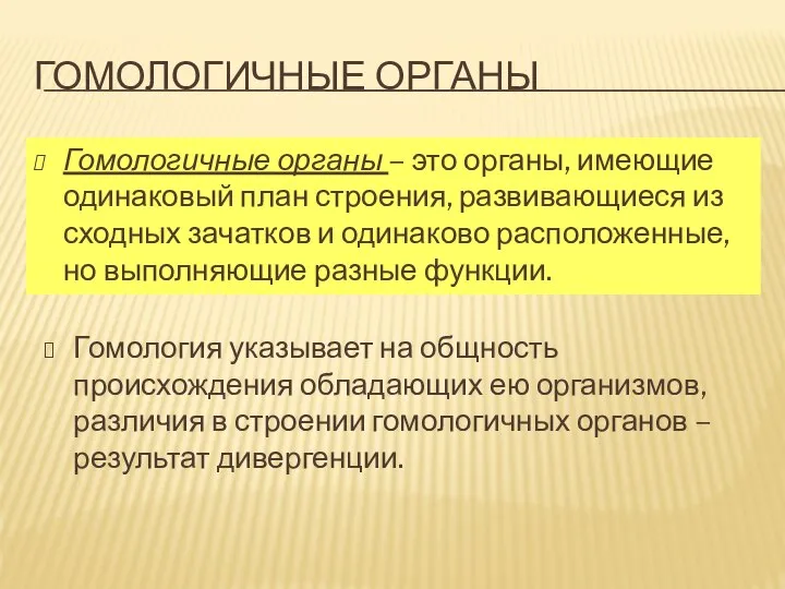 ГОМОЛОГИЧНЫЕ ОРГАНЫ Гомологичные органы – это органы, имеющие одинаковый план строения,