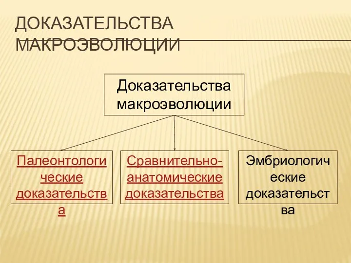 ДОКАЗАТЕЛЬСТВА МАКРОЭВОЛЮЦИИ