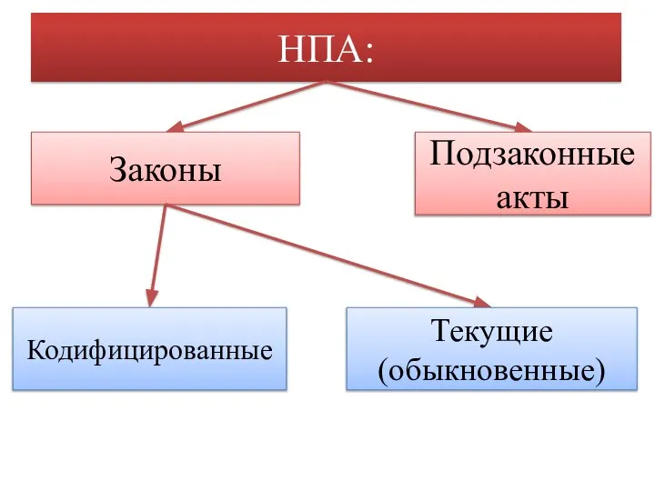 НПА: Законы Подзаконные акты Кодифицированные Текущие (обыкновенные)