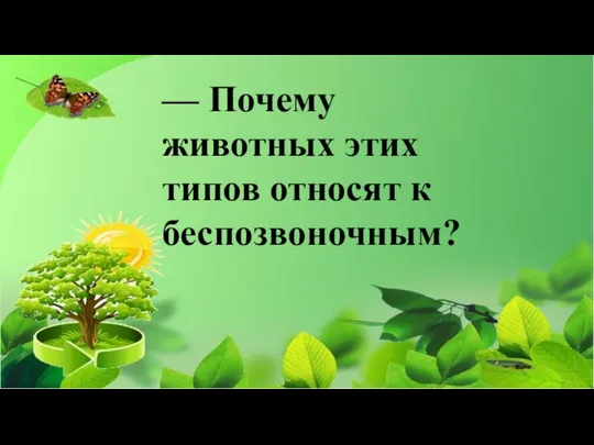 — Почему животных этих типов относят к беспозвоночным?