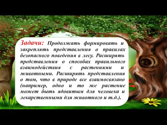 Задачи: Продолжать формировать и закреплять представления о правилах безопасного поведения в