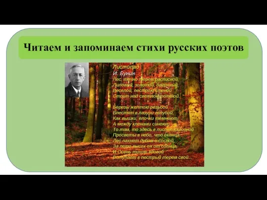 Читаем и запоминаем стихи русских поэтов