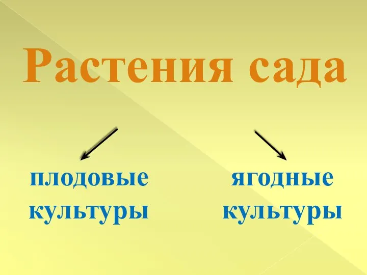 Растения сада плодовые культуры ягодные культуры