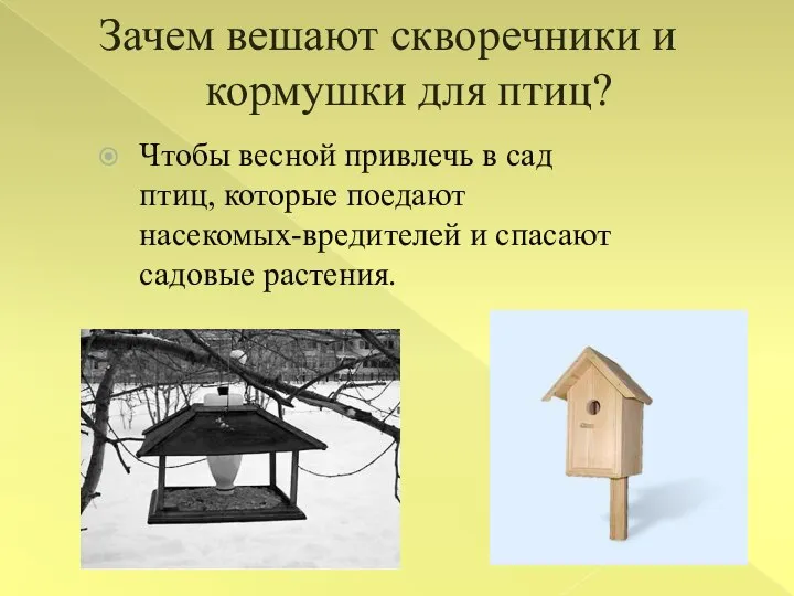 Зачем вешают скворечники и кормушки для птиц? Чтобы весной привлечь в