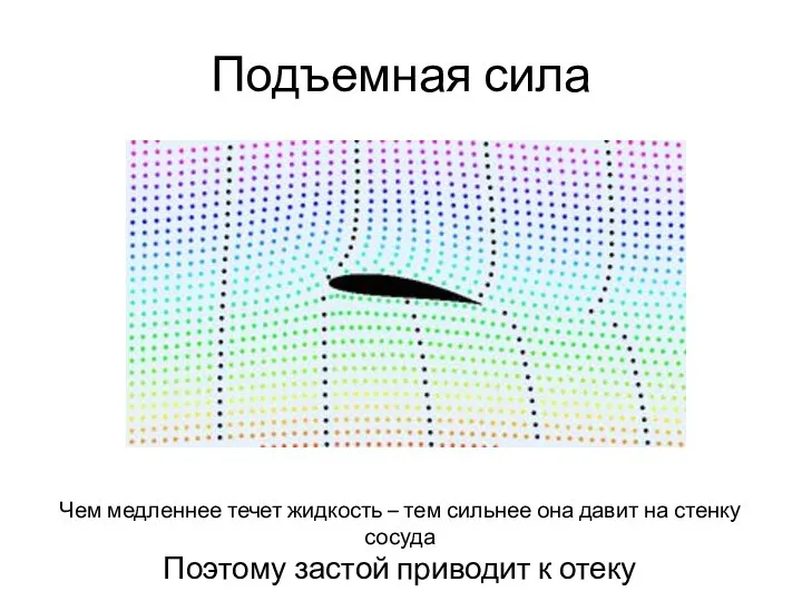 Подъемная сила Чем медленнее течет жидкость – тем сильнее она давит