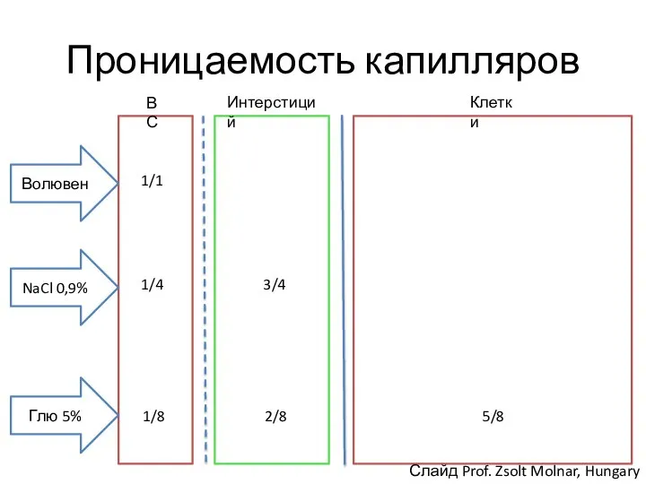 Проницаемость капилляров NaCl 0,9% ВС Интерстиций Клетки 1/1 1/4 3/4 1/8