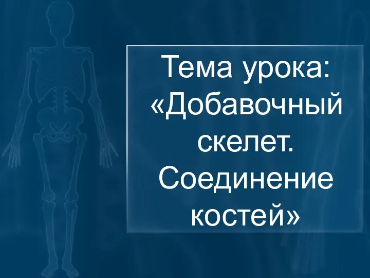 Тема урока: «Добавочный скелет. Соединение костей»