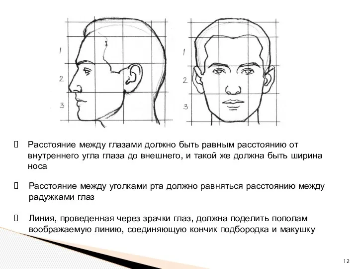 Расстояние между уголками рта должно равняться расстоянию между радужками глаз Расстояние