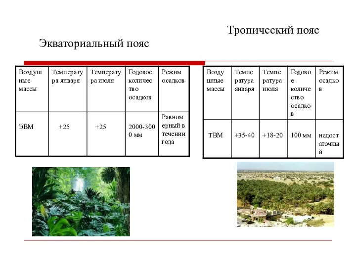 Экваториальный пояс Тропический пояс