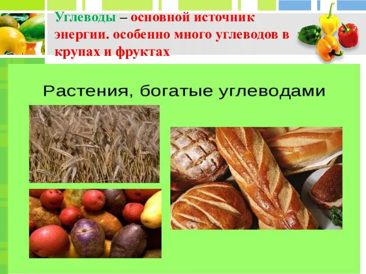 Углеводы – основной источник энергии. особенно много углеводов в крупах и фруктах