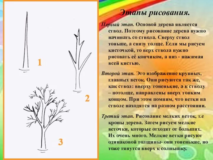 Этапы рисования. Первый этап. Основой дерева является ствол. Поэтому рисование дерева