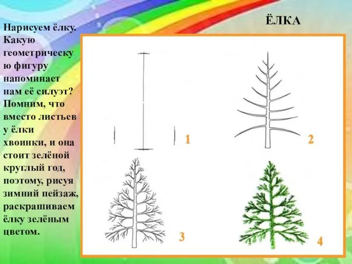 Нарисуем ёлку. Какую геометрическую фигуру напоминает нам её силуэт? Помним, что