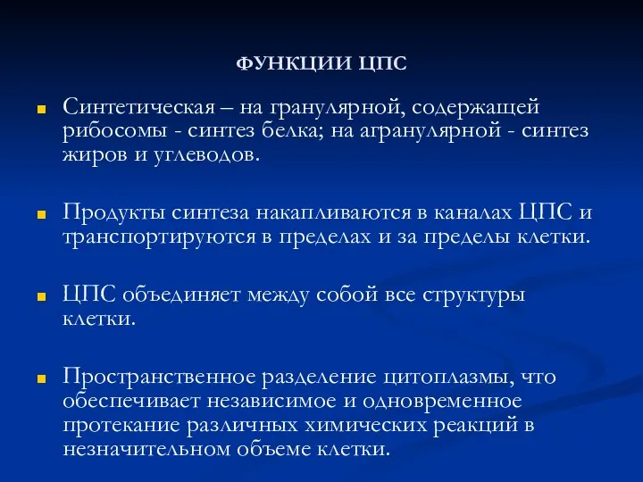 ФУНКЦИИ ЦПС Синтетическая – на гранулярной, содержащей рибосомы - синтез белка;