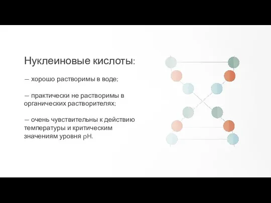 Нуклеиновые кислоты: — хорошо растворимы в воде; — практически не растворимы