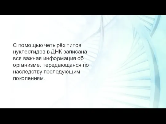 С помощью четырёх типов нуклеотидов в ДНК записана вся важная информация