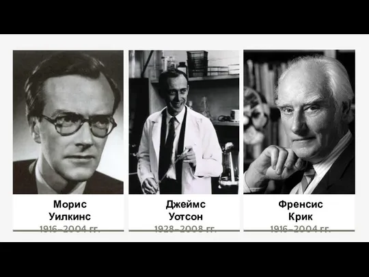 Морис Уилкинс 1916–2004 гг. Джеймс Уотсон 1928–2008 гг. Френсис Крик 1916–2004 гг.