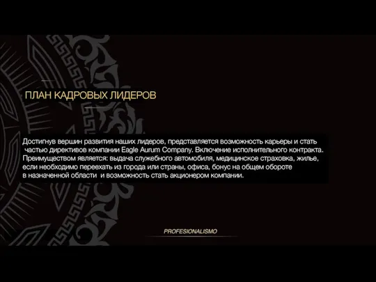 ПЛАН КАДРОВЫХ ЛИДЕРОВ Достигнув вершин развития наших лидеров, представляется возможность карьеры