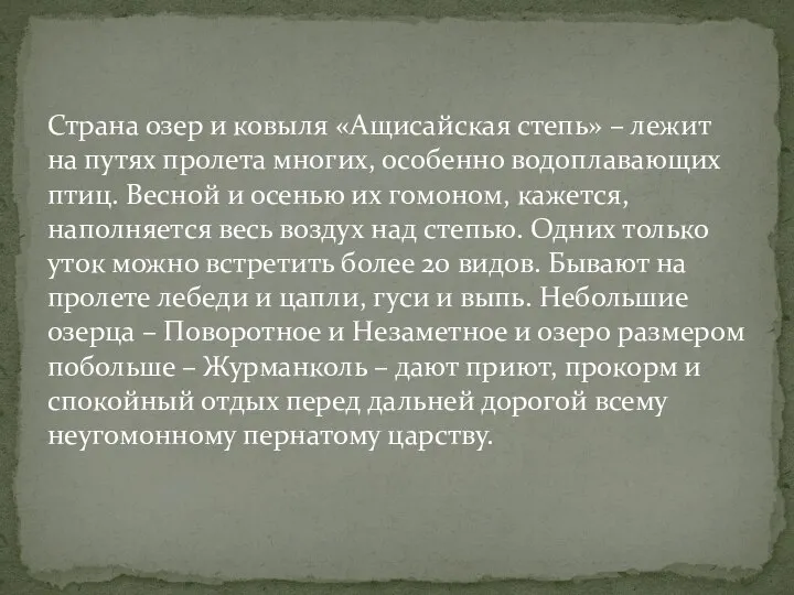 Страна озер и ковыля «Ащисайская степь» – лежит на путях пролета