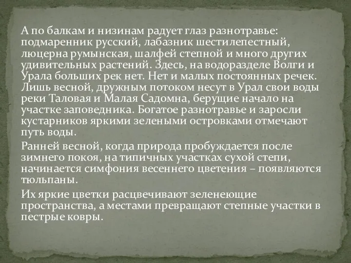 А по балкам и низинам радует глаз разнотравье: подмаренник русский, лабазник