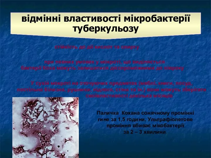 відмінні властивості мікробактерії туберкульозу стійкість до дії кислот та спирту при