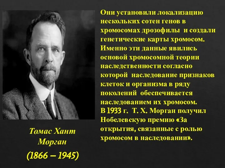 Томас Хант Морган (1866 – 1945) Они установили локализацию нескольких сотен