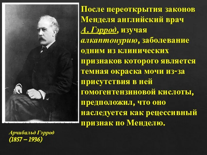 После переоткрытия законов Менделя английский врач А. Гэррод, изучая алкаптонурию, заболевание