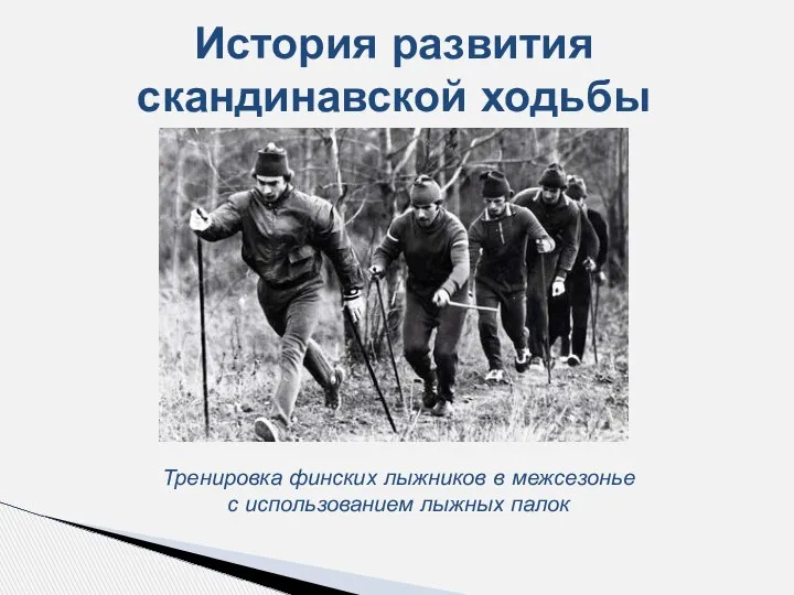 Тренировка финских лыжников в межсезонье с использованием лыжных палок История развития скандинавской ходьбы