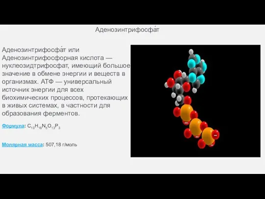 Аденозинтрифосфа́т Аденозинтрифосфа́т или Аденозинтрифосфорная кислота — нуклеозидтрифосфат, имеющий большое значение в