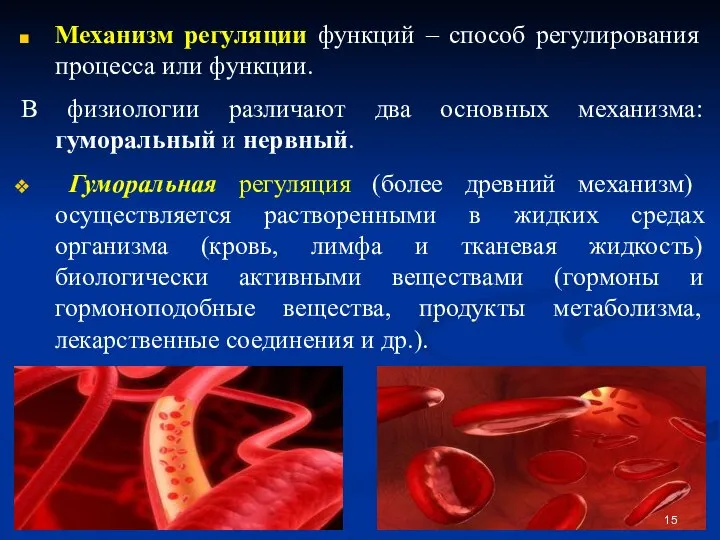 Механизм регуляции функций – способ регулирования процесса или функции. В физиологии