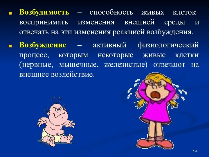 Возбудимость – способность живых клеток воспринимать изменения внешней среды и отвечать