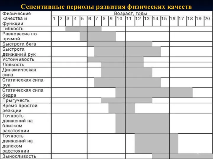 Сенситивные периоды развития физических качеств