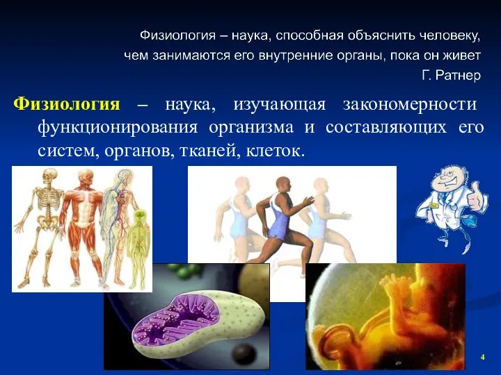 Физиология – наука, изучающая закономерности функционирования организма и составляющих его систем, органов, тканей, клеток.