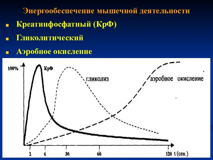 Энергообеспечение мышечной деятельности Креатинфосфатный (КрФ) Гликолитический Аэробное окисление