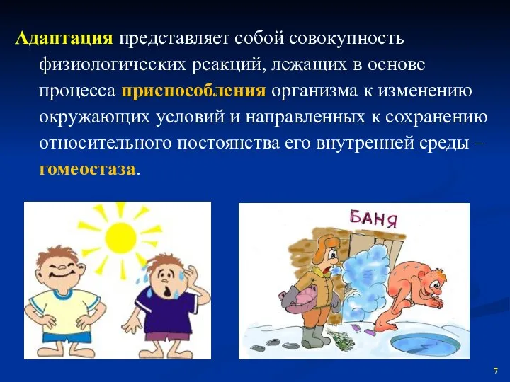 Адаптация представляет собой совокупность физиологических реакций, лежащих в основе процесса приспособления