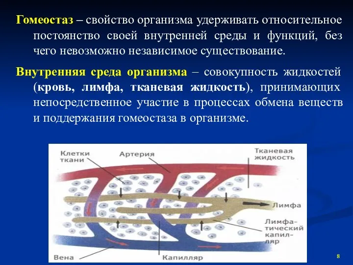 Гомеостаз – свойство организма удерживать относительное постоянство своей внутренней среды и