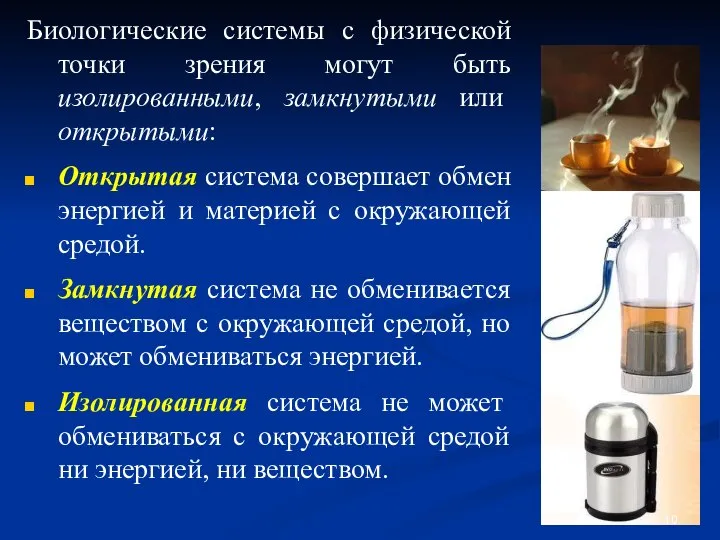 Биологические системы с физической точки зрения могут быть изолированными, замкнутыми или